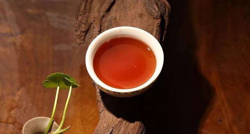 熟普传奇：关于普洱熟茶的编年史