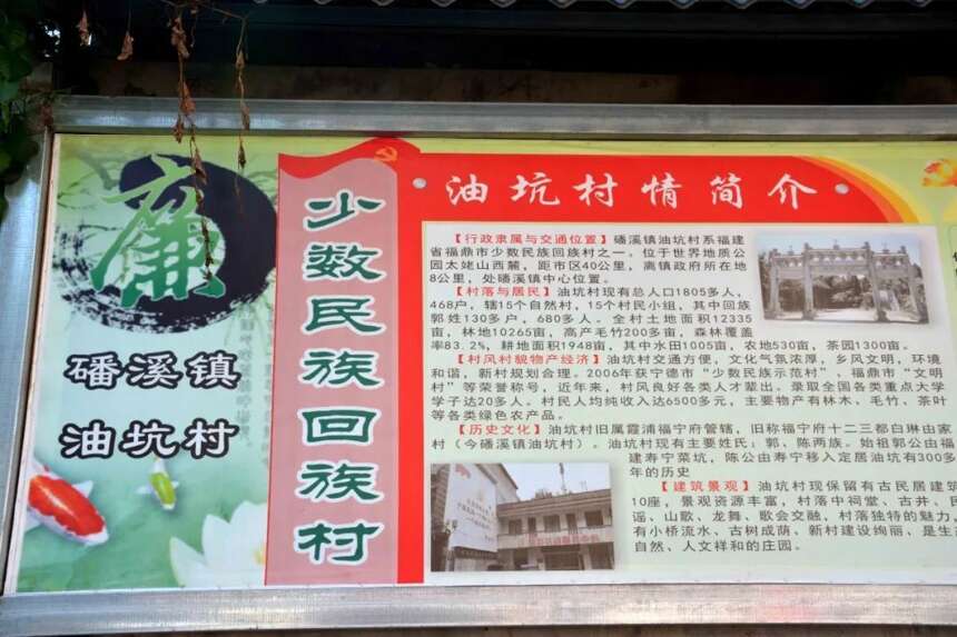 油坑村：一片茶叶带着文化传承的根脉，走进变革与创新！​​