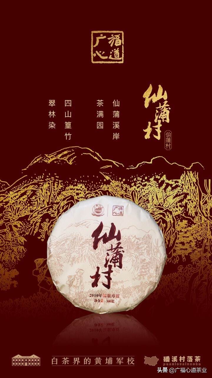 我生于“长寿村”，一个明星茶村落。|心道测评