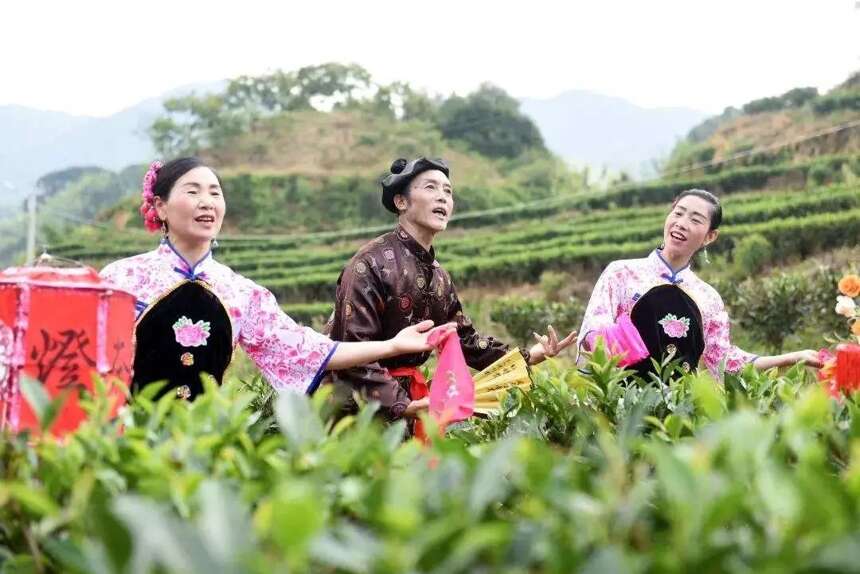 中国的茶，与茶生活的艺术