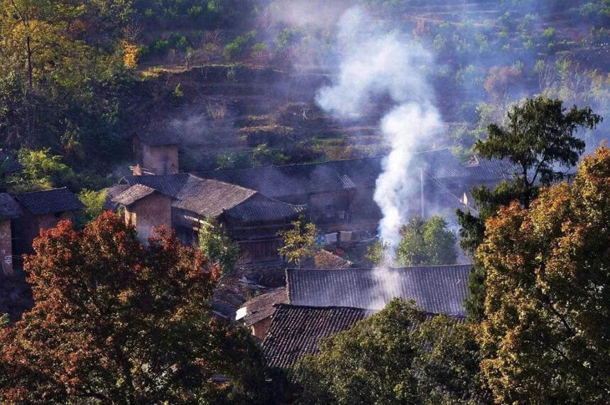 只要一个小习惯，喝茶就能充满高级感