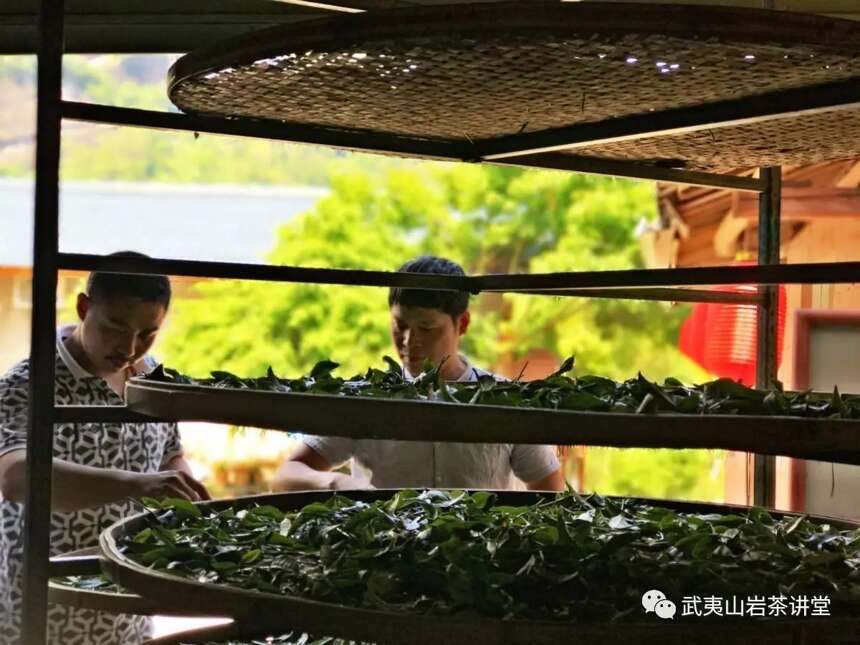 「习茶有道」“武夷焙法，实甲天下，岩茶为什么需要碳焙？