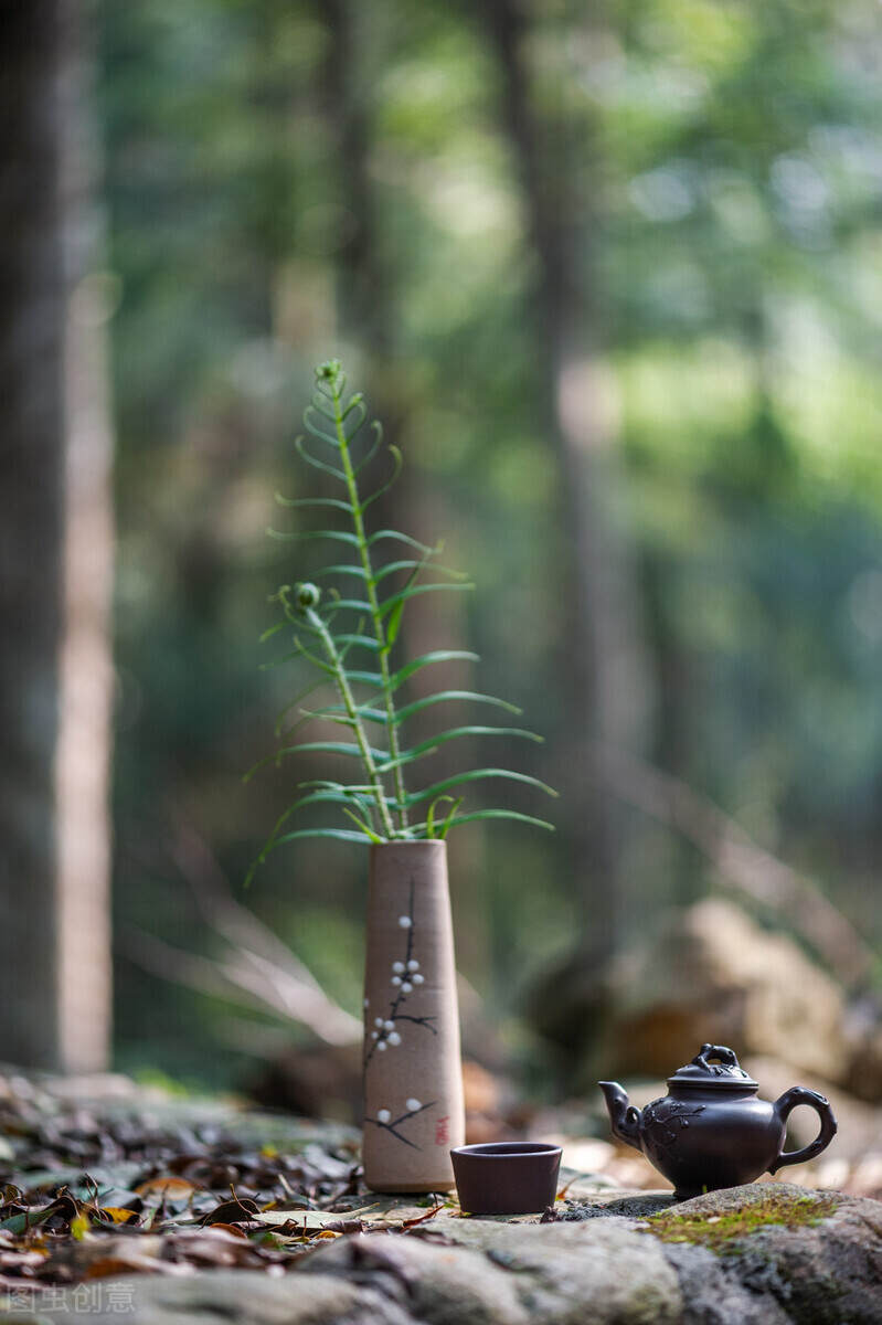 轻倚茶海，浅读流年