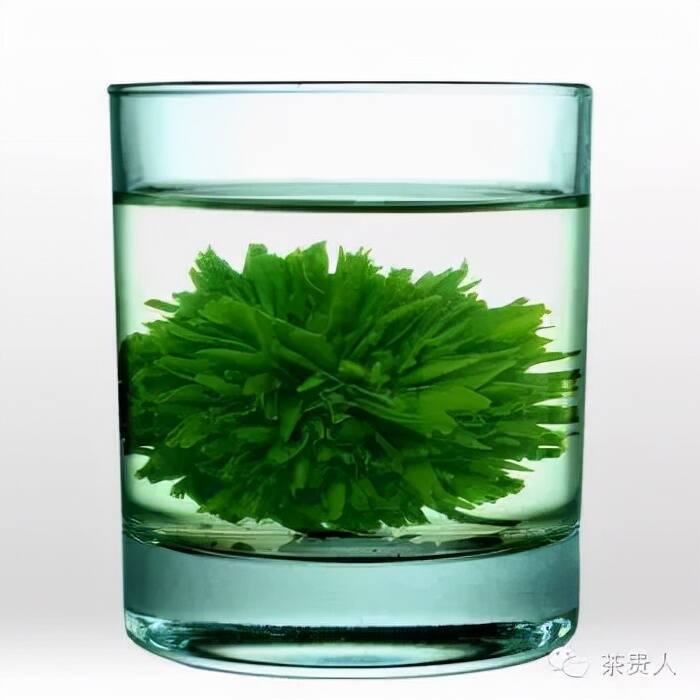 绿茶有这么多张脸，你都能认识吗？