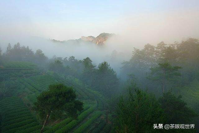 以茶助禅：练好禅茶的基本功（五）