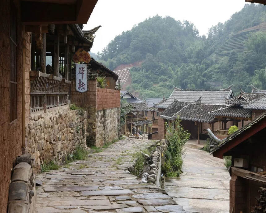 风雨飘摇300年，古六大茶山兴衰沉浮