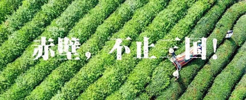 重振雄风：湖北咸宁把传统砖茶打造成百亿产业