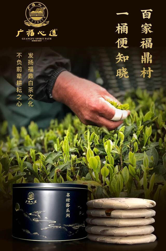 名村落专属礼盒：一桶多样福鼎味，自由搭配村落茶，玩出新花样