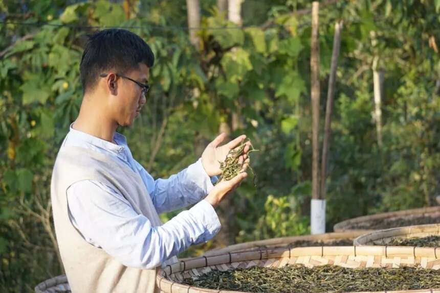 被低估的发酵食品高峰——普洱