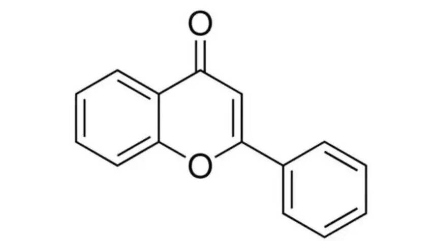 茶知识：“苦尽甘来”的科学原理