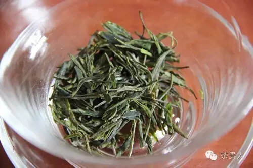 绿茶种类集结号，为你杯里的绿茶站队