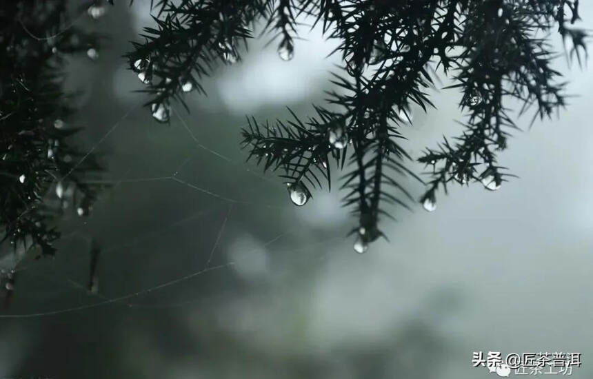 寒露 | 今年的秋天已“出逃”，快追