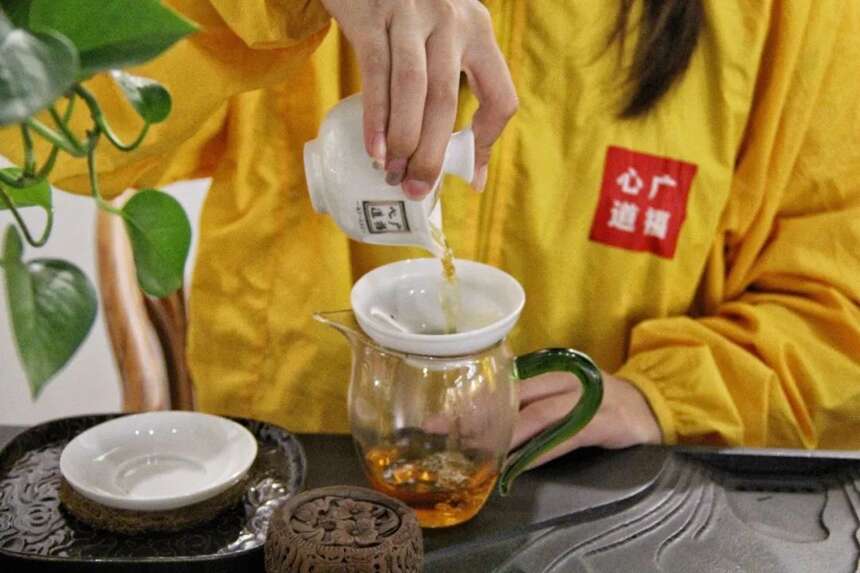 朋友圈刮起一阵“秋天第一杯奶茶”的妖风？福鼎白茶更好喝