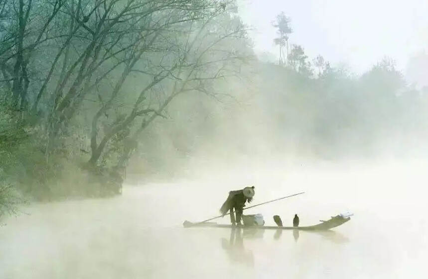 普洱茶的衣服｜「马三」与「竹箬」