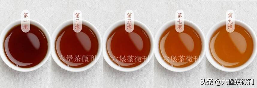 上新：90年代木香六堡茶，一起品尝岁月的滋味