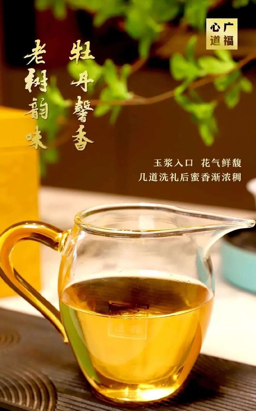 端午节茶礼怎么选？广福心道这8款茶礼，总有一款适合你