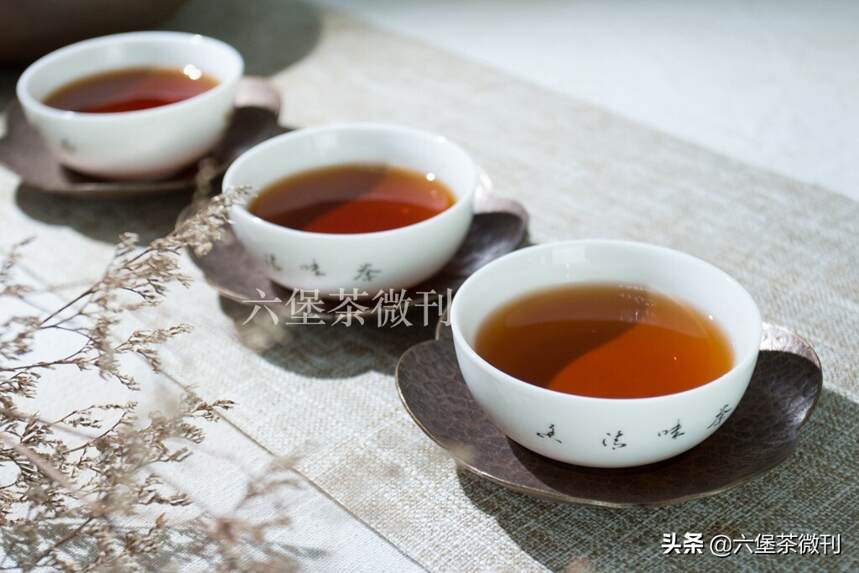 如何成为品鉴六堡茶（黑茶）的高手？这几个要点建议收藏