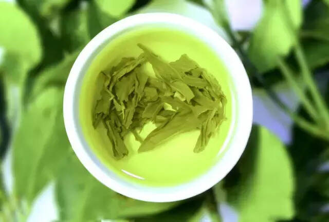 这样泡茶，危害太大，赶紧戒掉