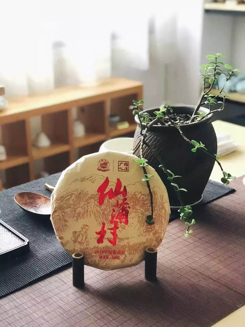 仙蒲村｜每一次品饮，都是一场身心的旅行