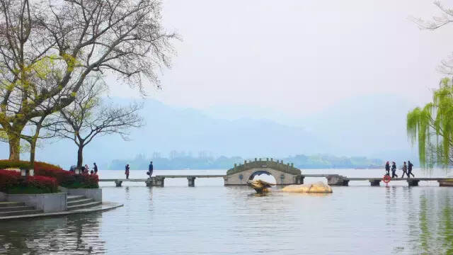 茶之要洗，何尝不是一种悲哀