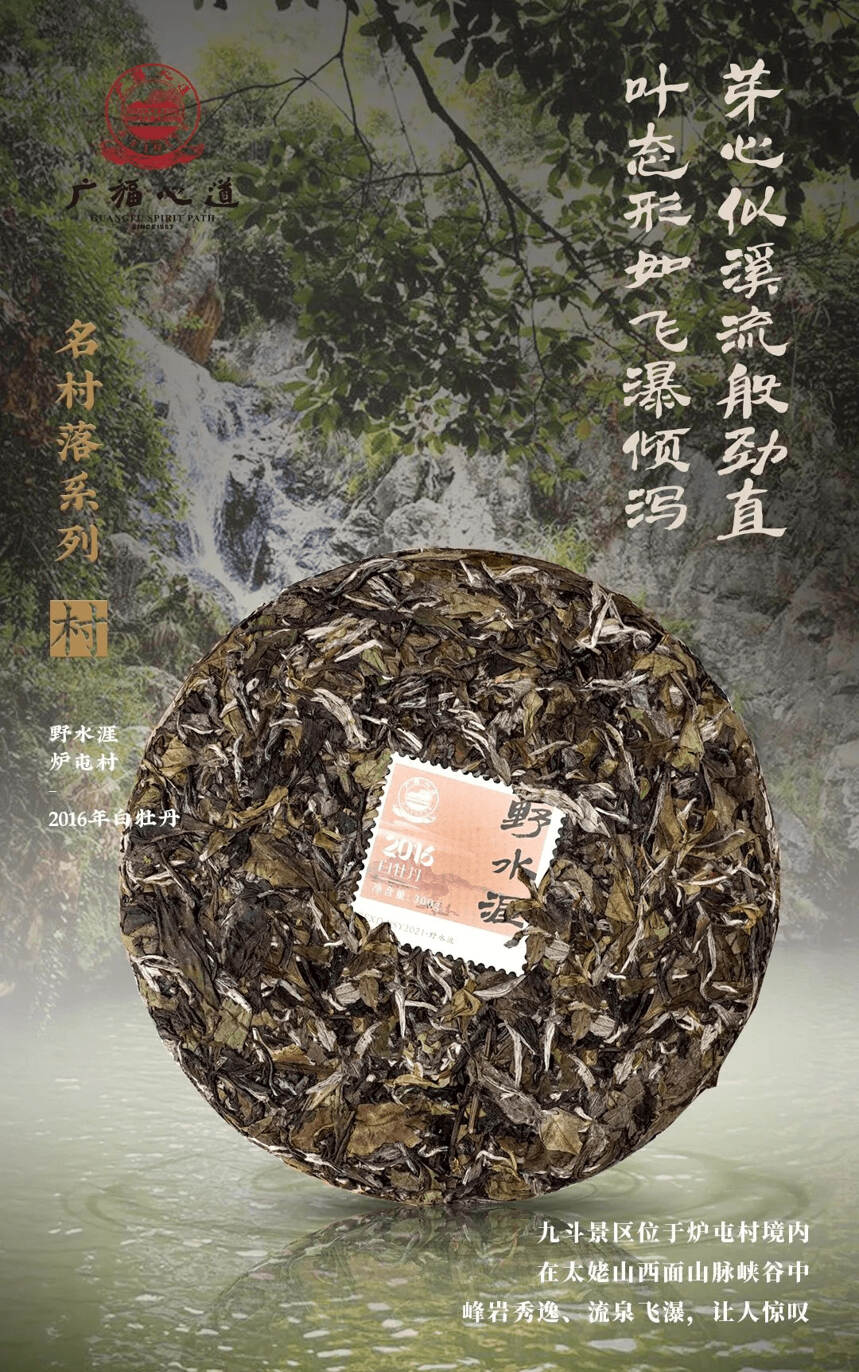 炉屯村：专业化科学管理，铸就福鼎白茶“清”韵正味