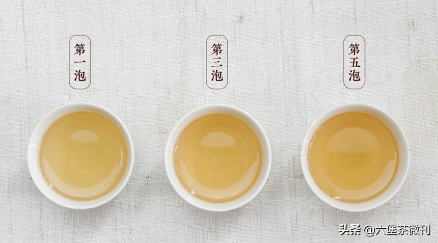 六堡茶：社前茶、明前茶、雨前茶到底有什么区别？