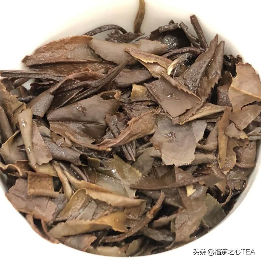 白茶百科 | 白茶分类，六个维度，一目了然！（建议收藏）