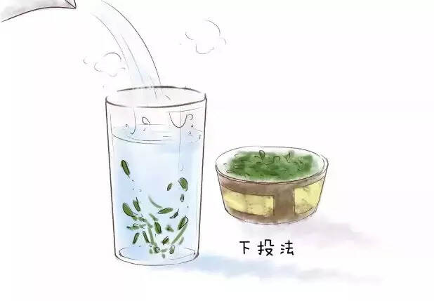 绿茶再好也得会冲泡，尝鲜可别泡坏了