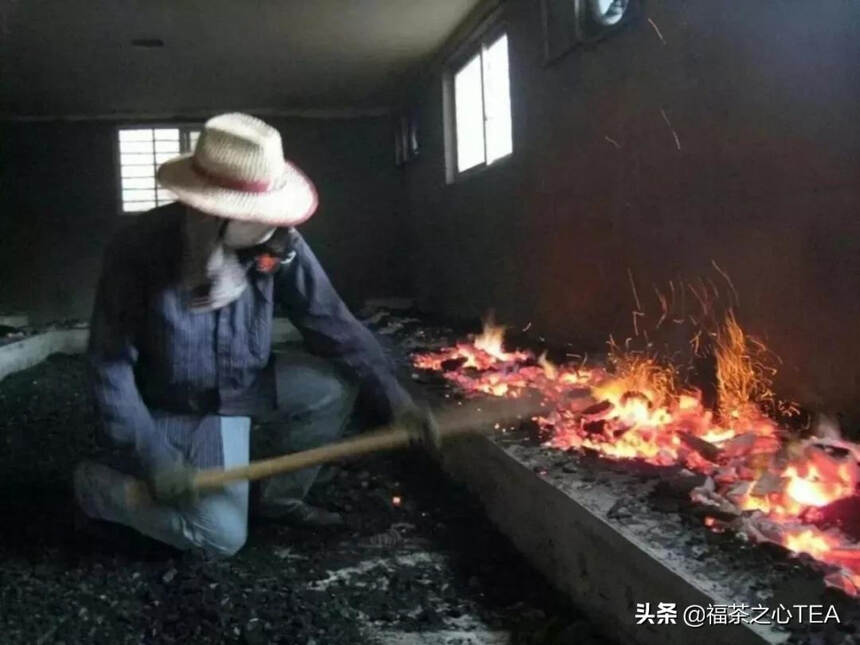 福建之茶 | 武夷岩茶不同程度的炭焙及品质呈现