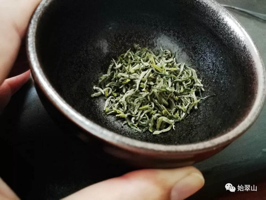 茶区的首长，懂不懂茶很重要