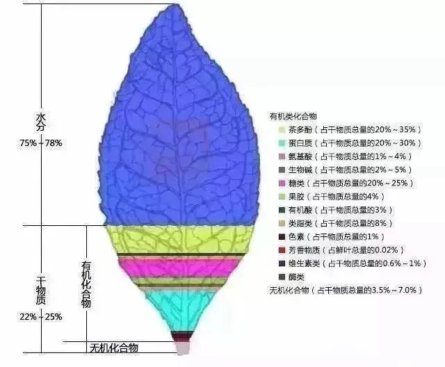 茶知识入门大全，这篇够份量