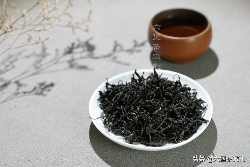 春茶究竟好在哪里？六堡茶春茶有哪些？