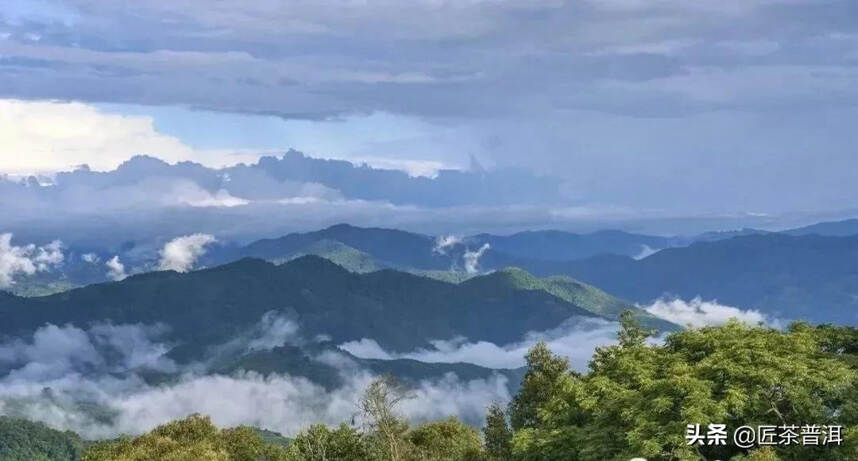 古六大茶山，哪一座才是茶人至爱？