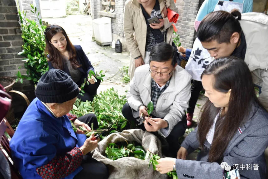 汉中手工绿名茶制作技艺