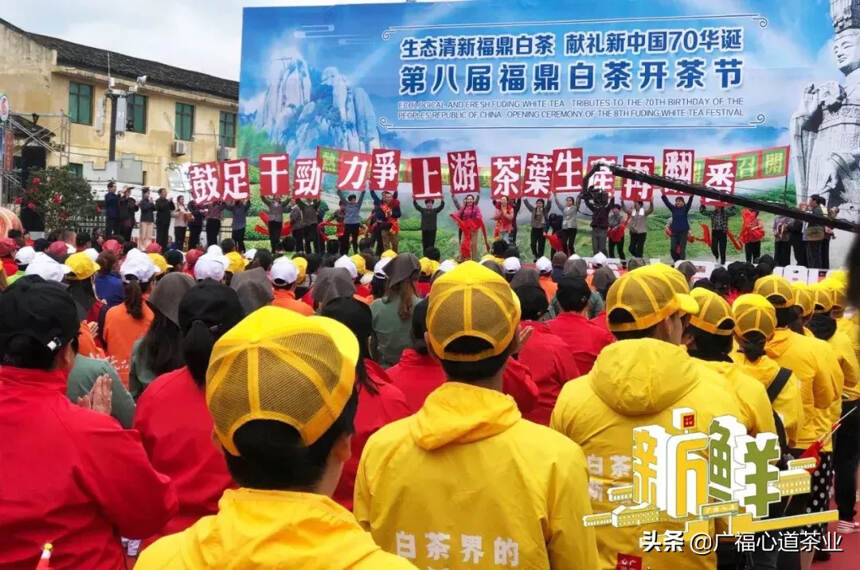 见证！福鼎茶企双月分析会第七次会议于广福茶业顺利召开