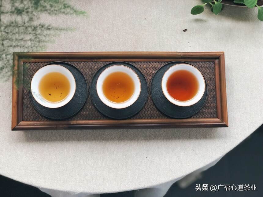 独家预告！广福心道带上新式茶饮现身西安茶博会｜心动态