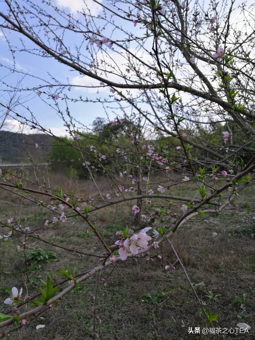 梦回家乡，记录福建古村落上杭回龙村