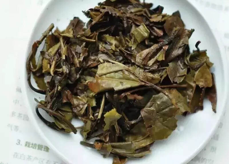 寿眉新茶，喝的是什么？