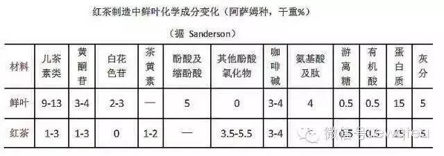 红茶世界史纲