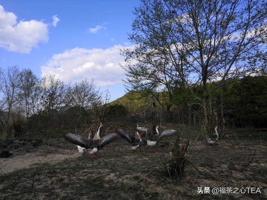 梦回家乡，记录福建古村落上杭回龙村