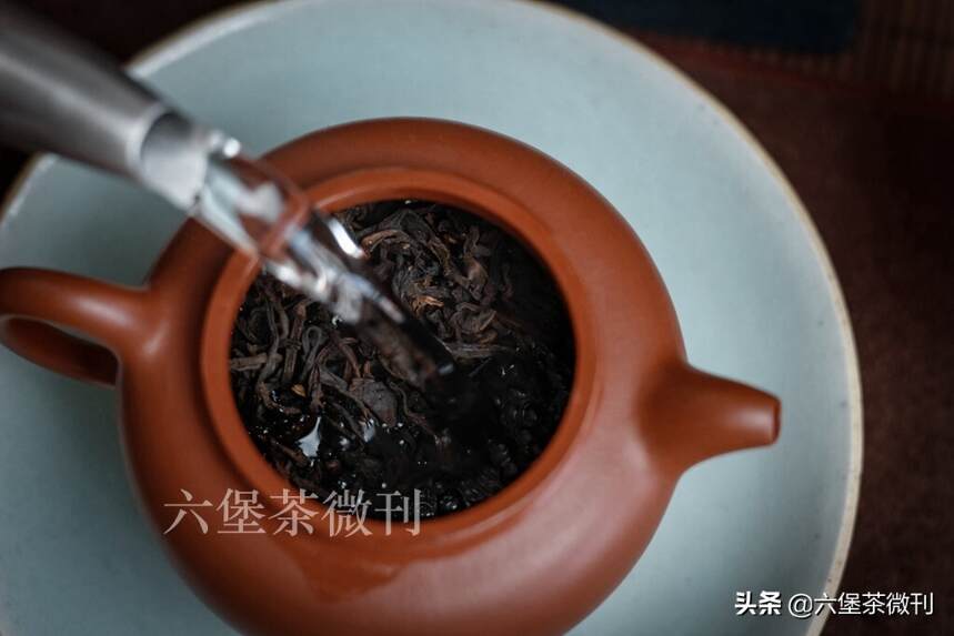 上新：90年代木香六堡茶，一起品尝岁月的滋味