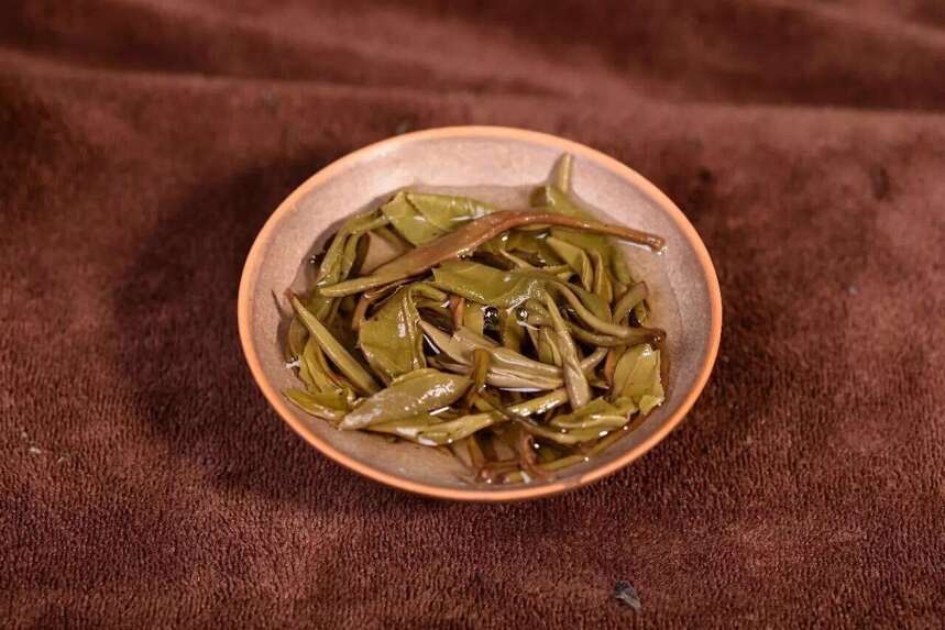 6种普洱茶纯料，你喝过几种？