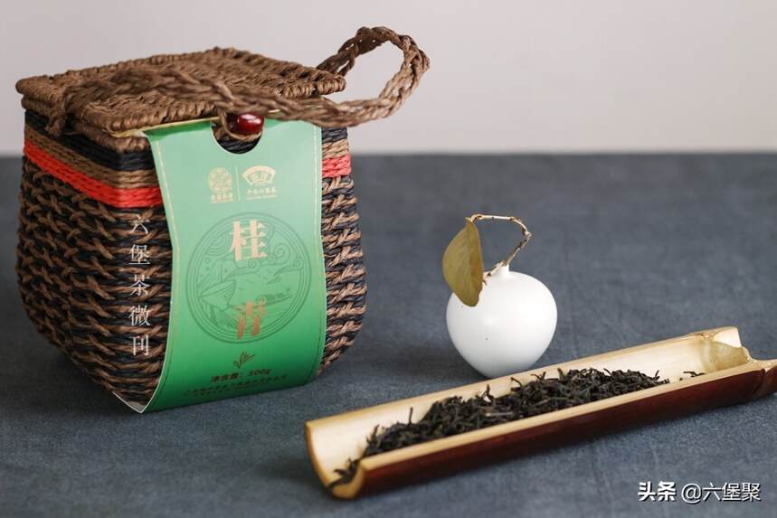 「开汤」茶友偏爱的特色茶品：“桂青种”六堡茶！