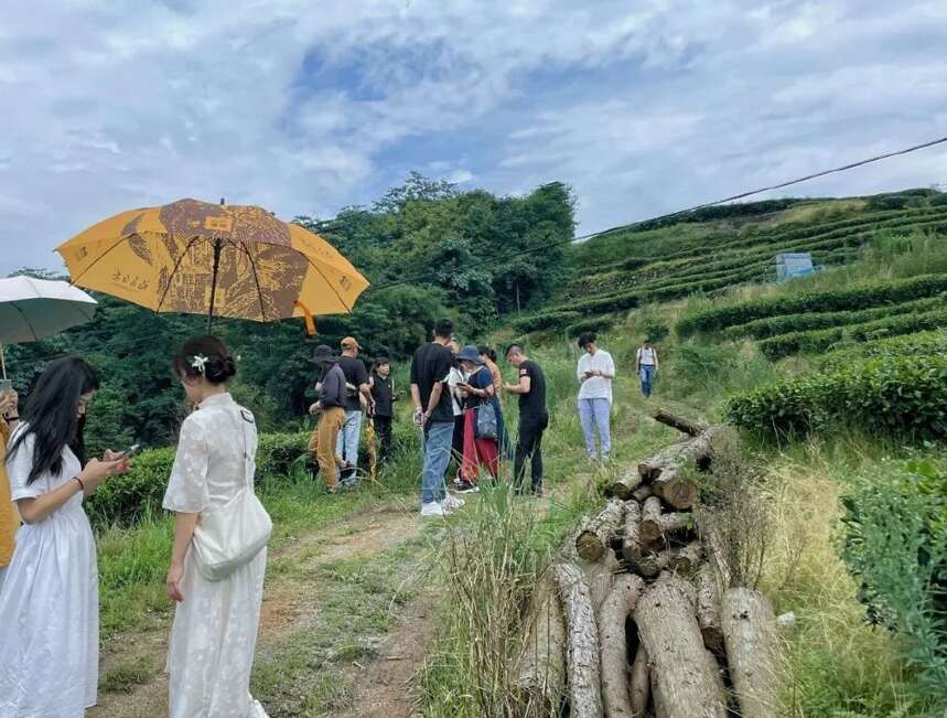 白茶十强广福心道夏季茶山行：游览福鼎磻溪