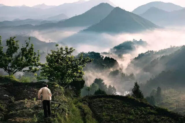 悠然远山暮，独向白云归