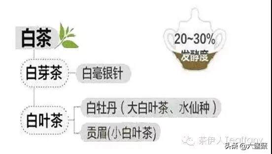 六大茶类还不懂？基础茶知识都整理好了，建议收藏