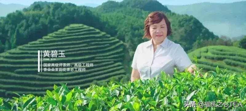 优秀的茶产品，都拥有一个好看的包装 | 案例解析