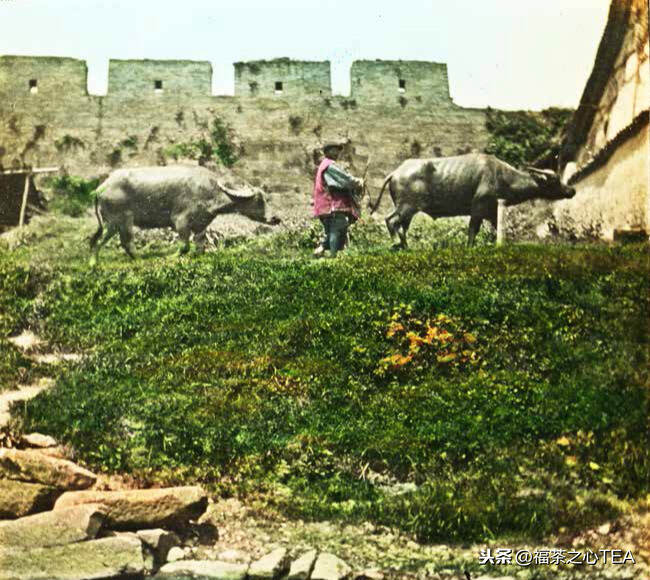 1908，甘博镜头下的彩色中国