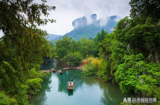 岩茶的绝佳环境：岩茶的风骨，生于烂石；岩茶的花香，来自仙境