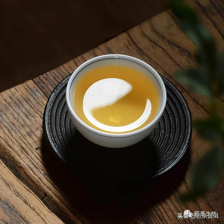 古六大茶山，哪一座才是茶人至爱？